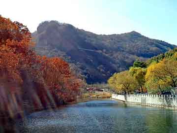 管家婆黑白马报图库，海口活动板房价格